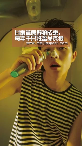 甘肃草原野狼成患,每年千只牲畜命丧狼口|世界杯中文网(图1) 举办城市