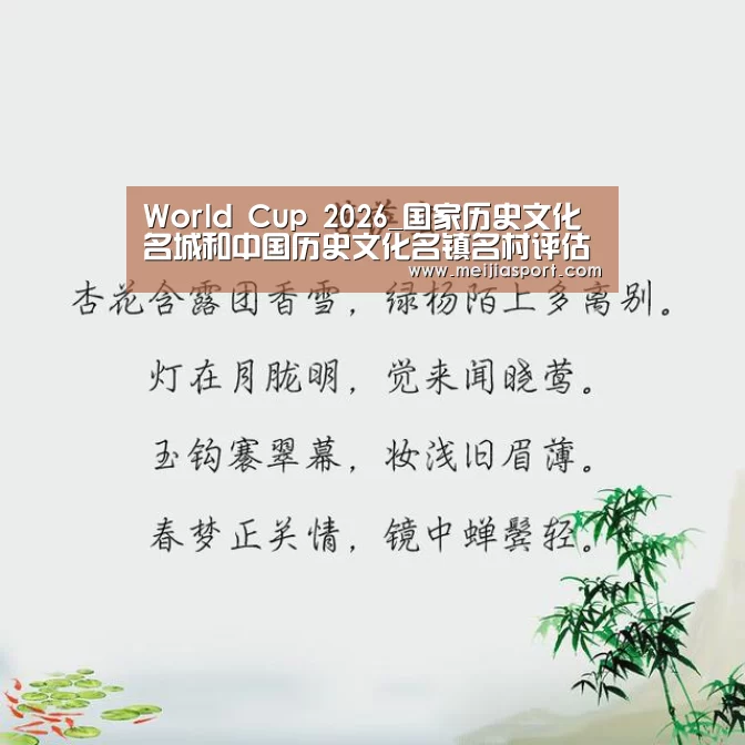 World Cup 2026_国家历史文化名城和中国历史文化名镇名村评估总结大会(图2) 官方动态