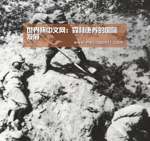 官方动态
