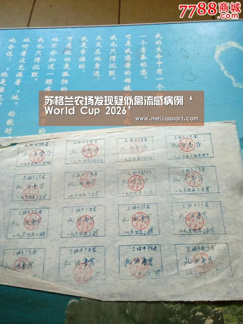 World Cup 2026