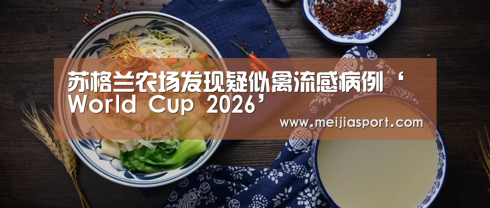 官方动态