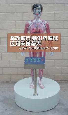 举办城市|猪价不振挺过难关是春天(图1) 官方动态