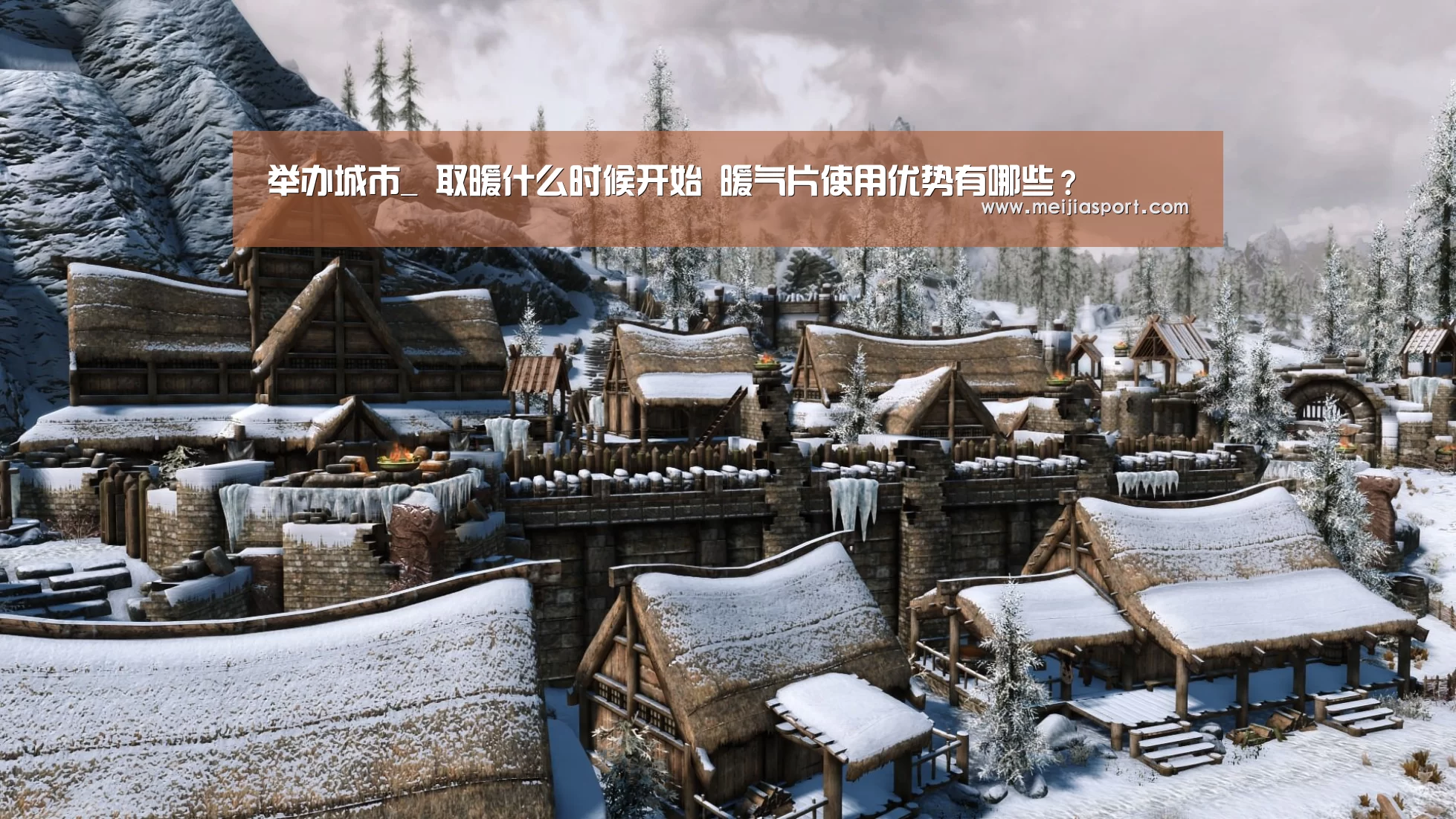 举办城市