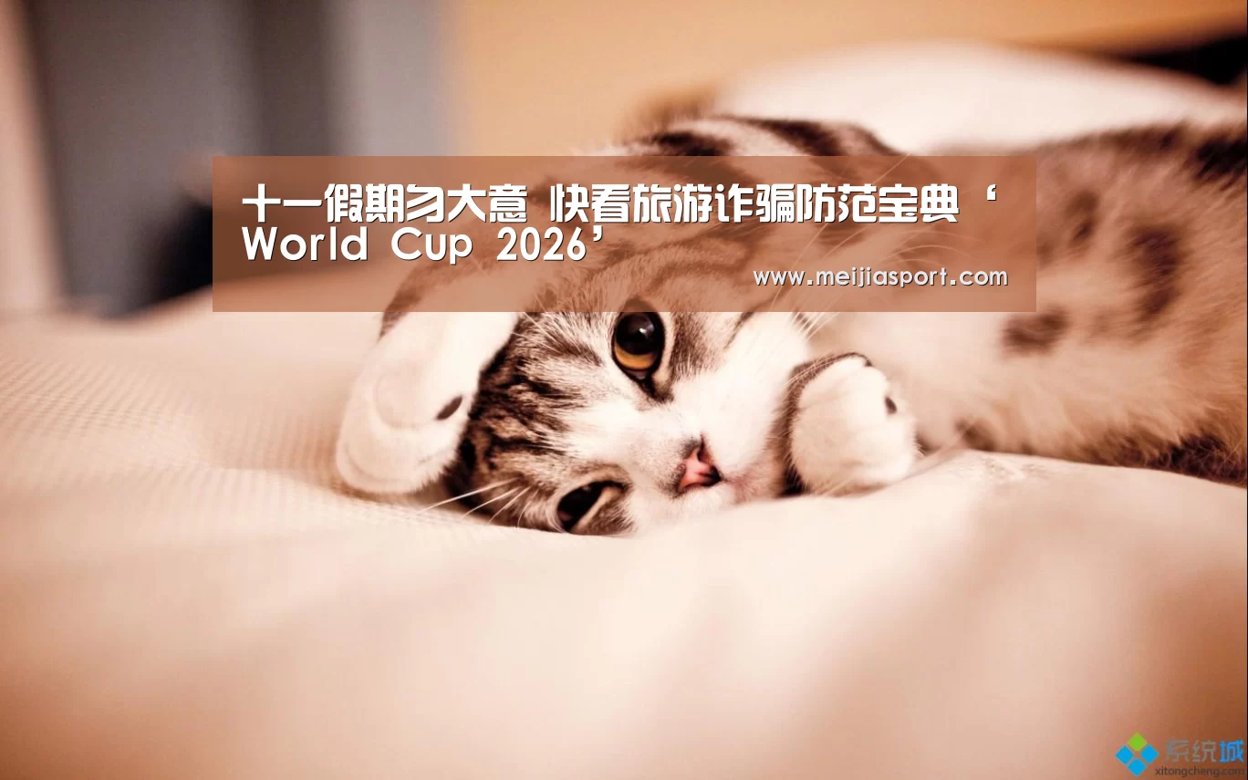 十一假期勿大意 快看旅游诈骗防范宝典‘World Cup 2026’(图4) 世界杯中文网